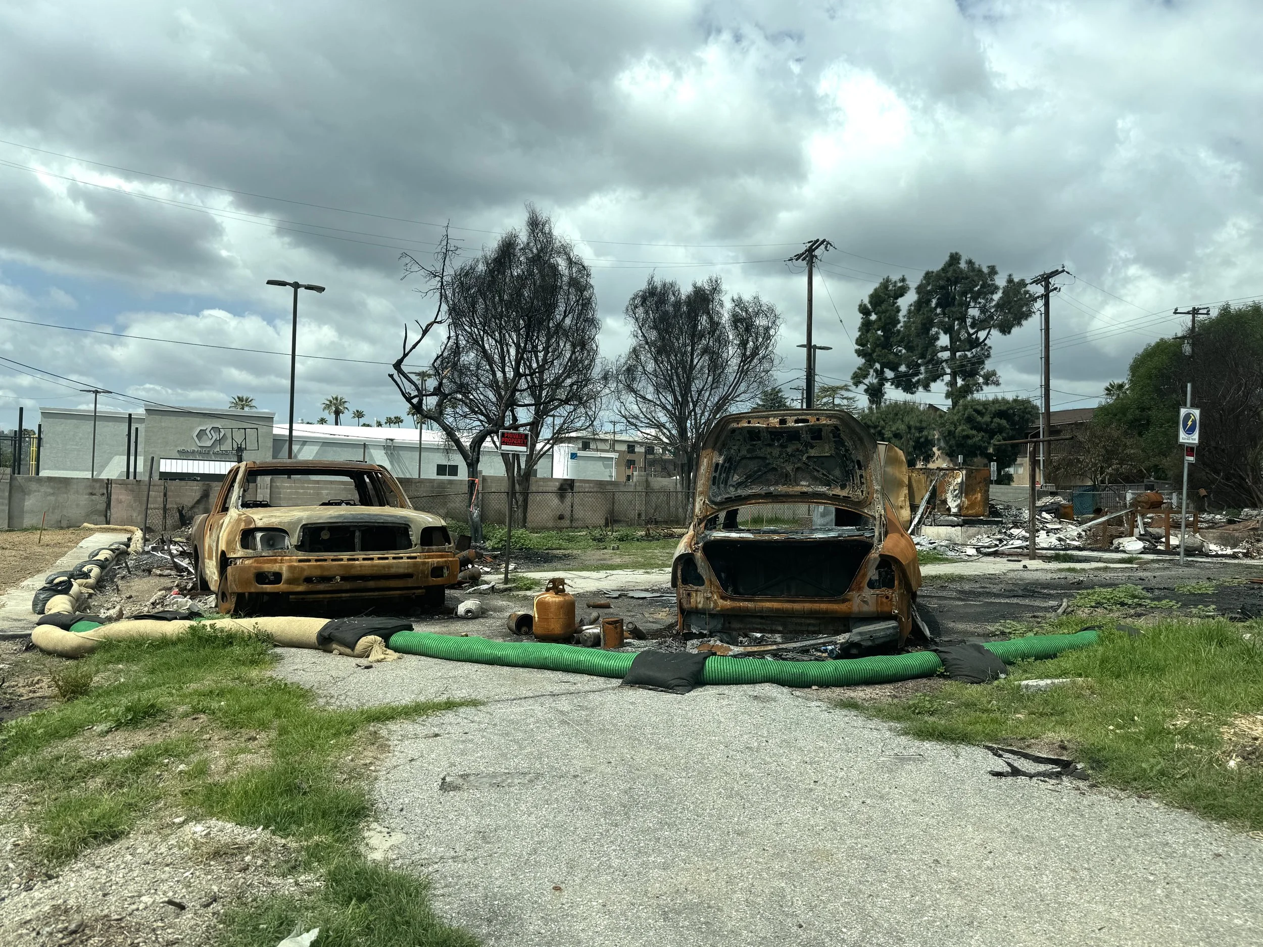 ガブエラ・パリャーイ　 　　風景 Relief - California Wildfires 2025 — The Anglican Relief and